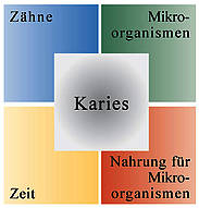 Voraussetzungen für Kariesentstehung